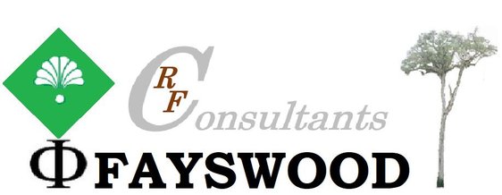 Fayswood