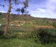 Rwanda agriculture